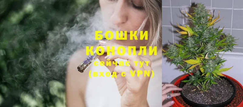 Каннабис OG Kush  Кизляр 